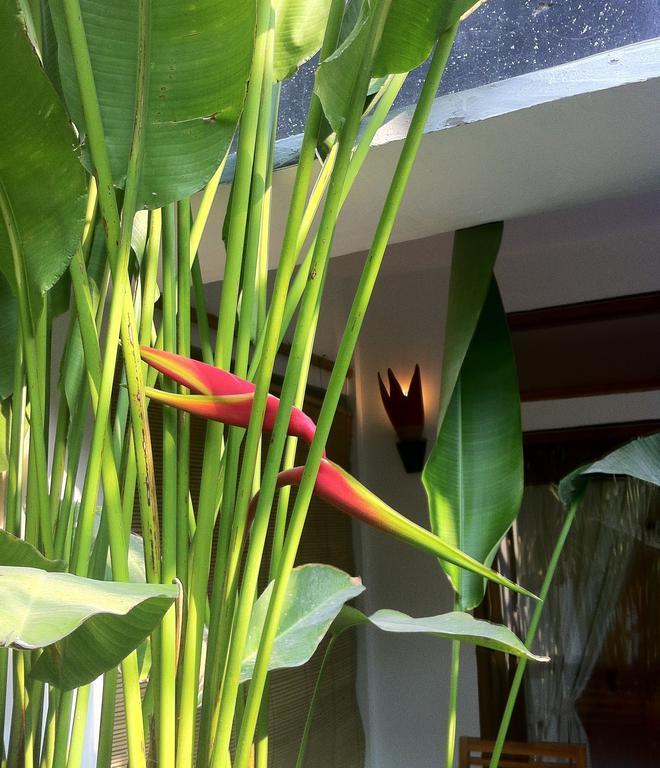 Rumah Cahaya Gili Trawangan Rum bild